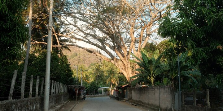 Quiet Coastal Village